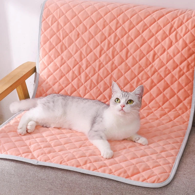 Alfombra-Cama para Perros BPEDT – Suave, Transpirable y Fácil de Limpiar