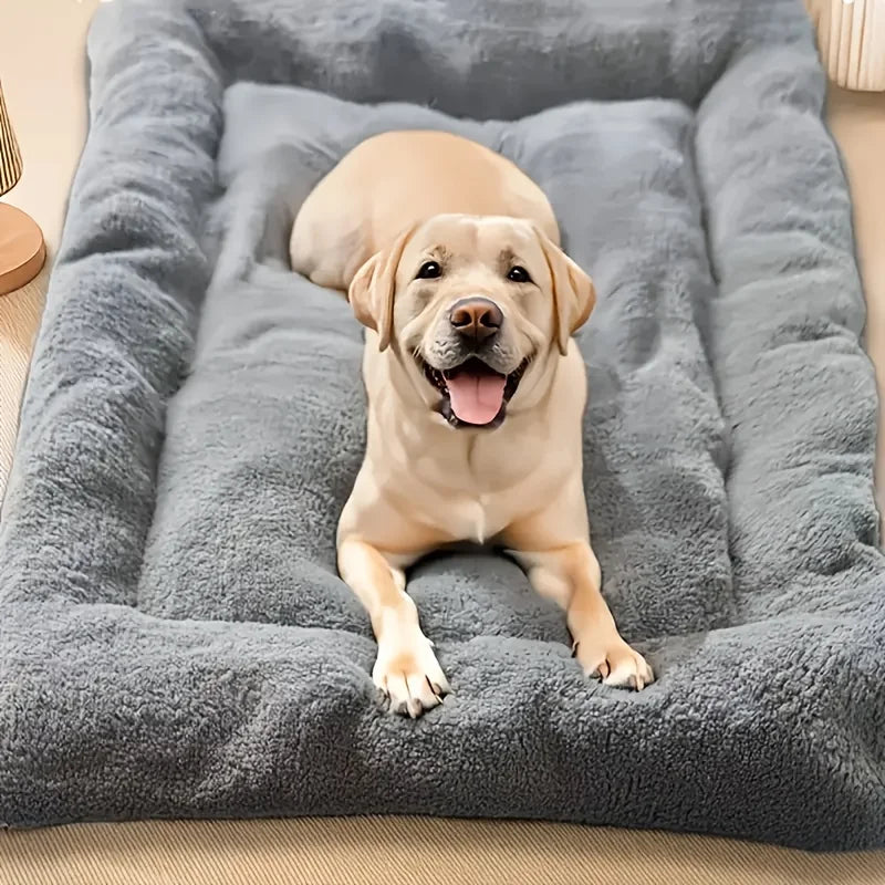 Cama Acolchada para Perros – Suave y Confortable
