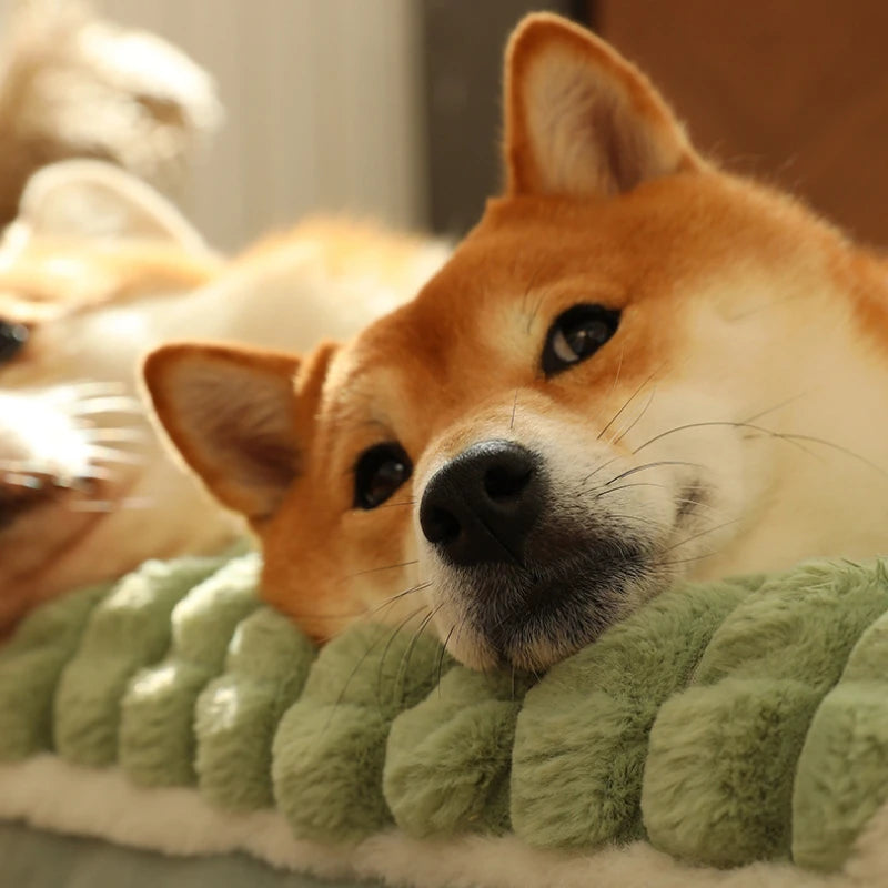 Cama de Felpa Suave BPEDT para Perros – Con Funda Desmontable y Relleno de Espuma