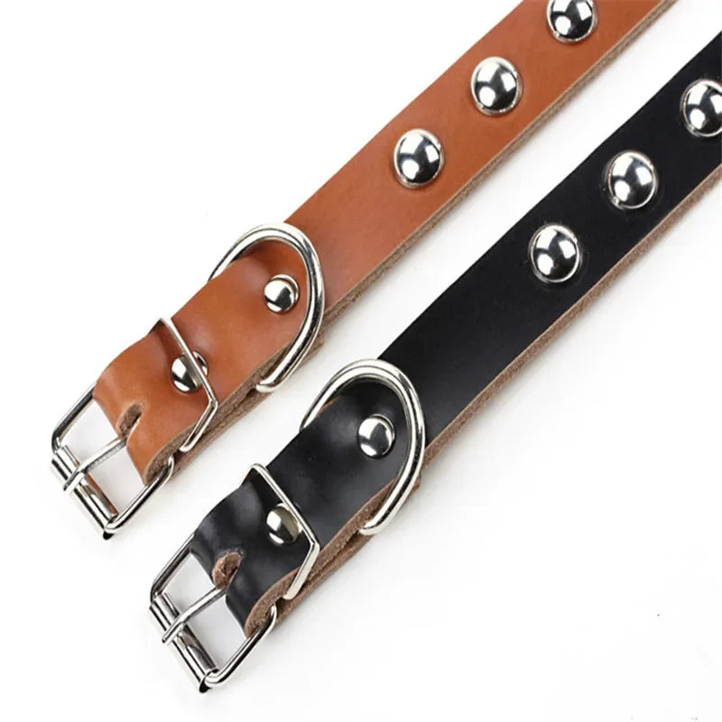 Collar de Cuero con Tachuelas para Perros y Gatos – Ajustable y Resistente