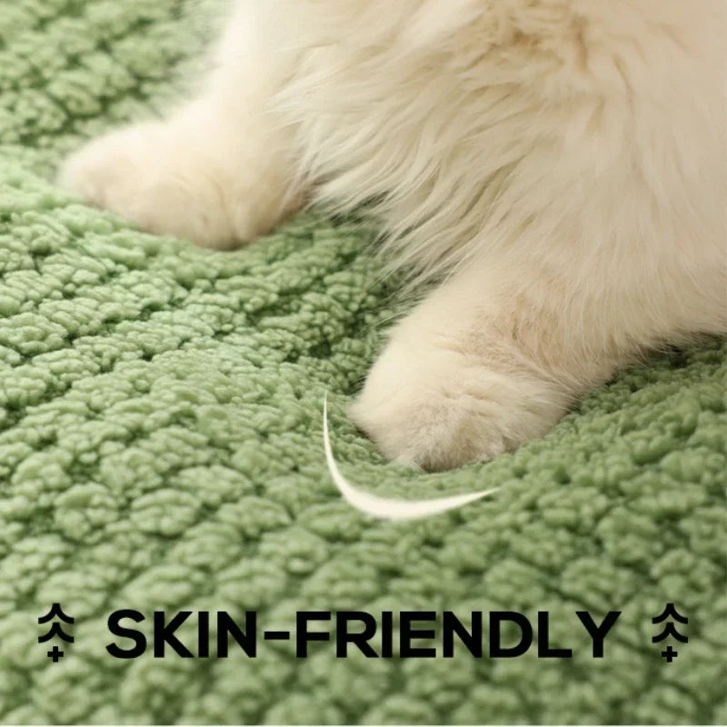 Cama Nido para Gatos BPEDT – Diseño Divertido en Forma de Rana