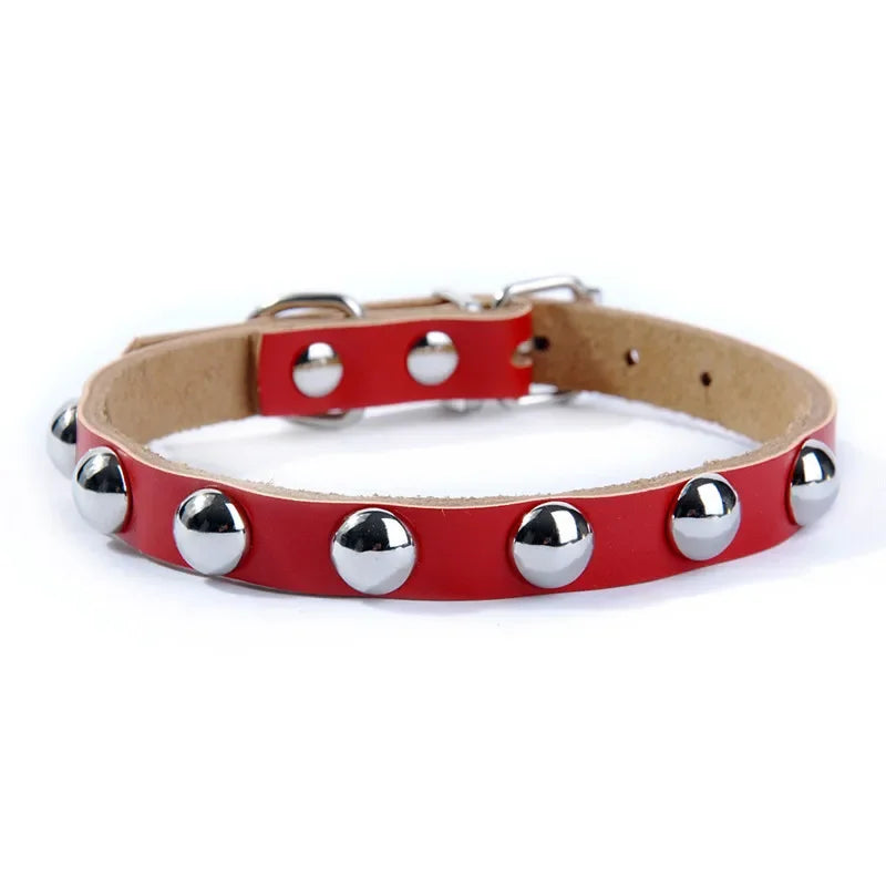 Collar de Cuero con Tachuelas para Perros y Gatos – Ajustable y Resistente