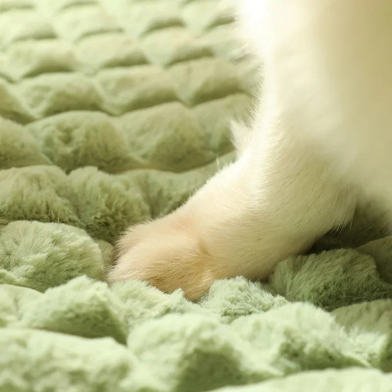Cama de Felpa Suave BPEDT para Perros – Con Funda Desmontable y Relleno de Espuma