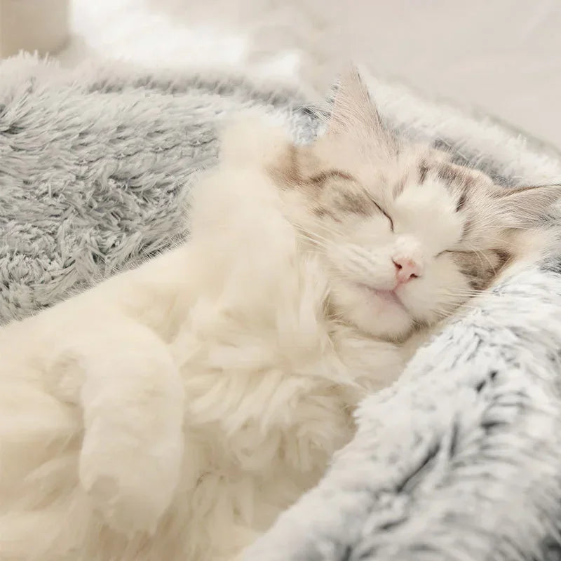 Cama Redonda de Felpa para Gatos y Perros Pequeños – Suavidad, calidez y confort en un diseño moderno y acogedor