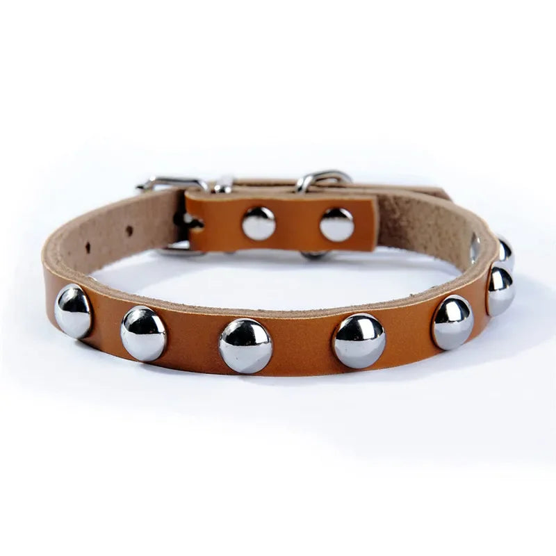 Collar de Cuero con Tachuelas para Perros y Gatos – Ajustable y Resistente