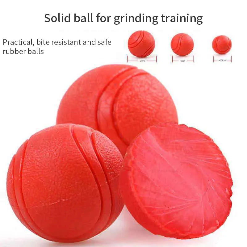 Pelota de goma para perros – Juguete resistente y seguro