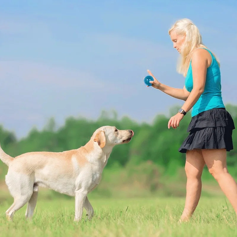 Pelota de goma TPR para perros – Limpieza dental y juego interactivo