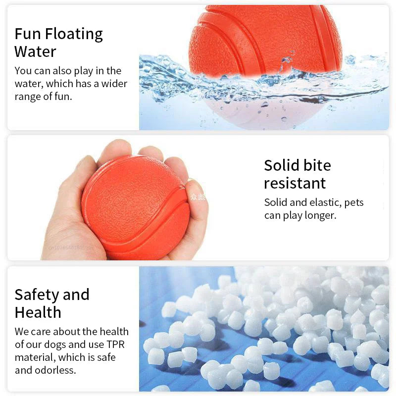 Pelota de goma para perros – Juguete resistente y seguro