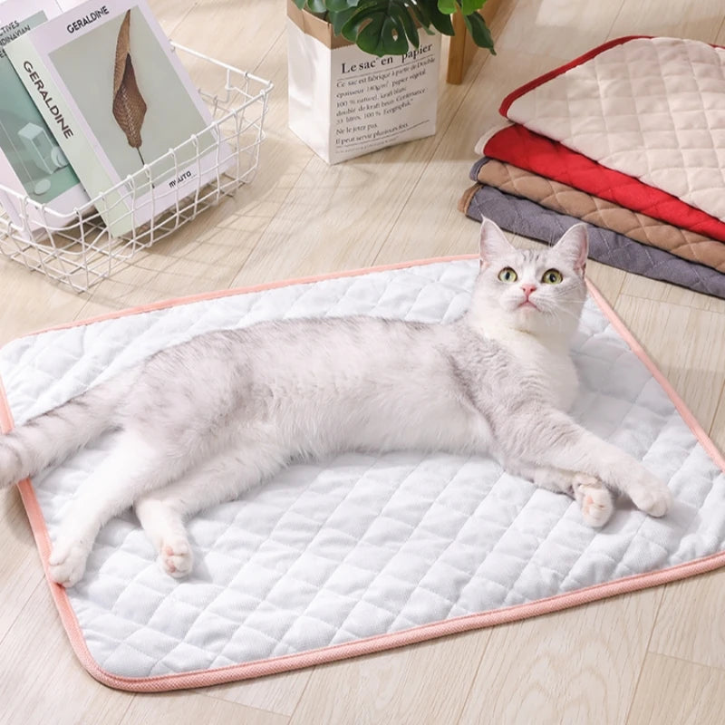 Alfombra-Cama para Perros BPEDT – Suave, Transpirable y Fácil de Limpiar