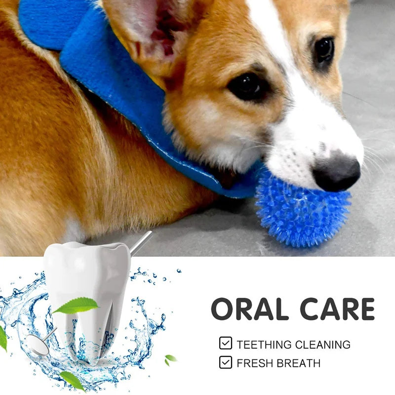 Pelota de goma TPR para perros – Limpieza dental y juego interactivo