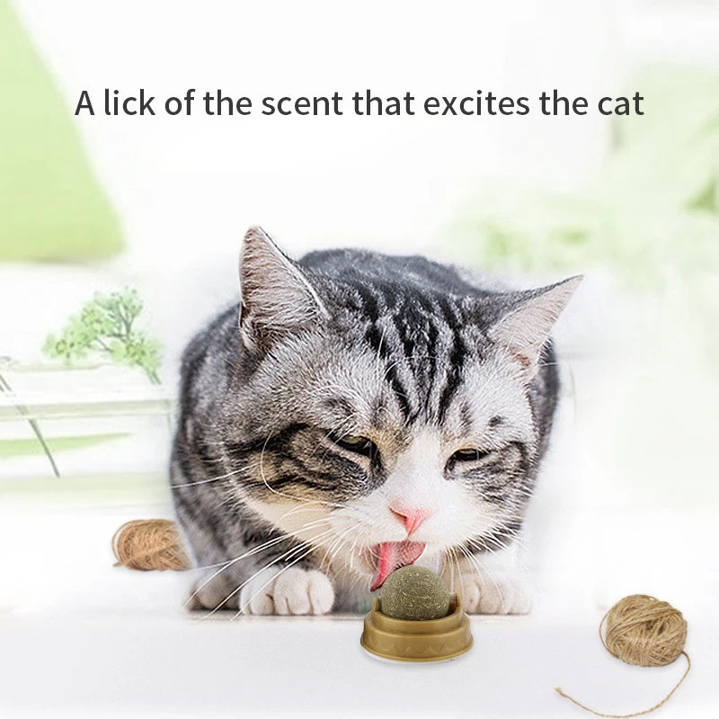 Pelota de hierba gatera natural adherible para gatos – Juguete y snack digestivo