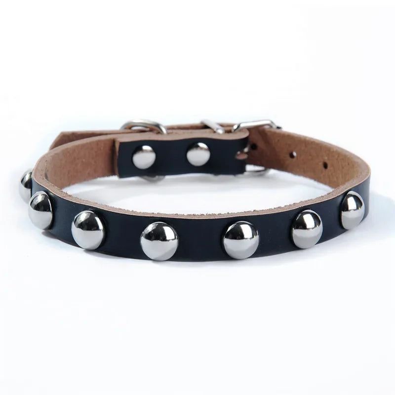 Collar de Cuero con Tachuelas para Perros y Gatos – Ajustable y Resistente