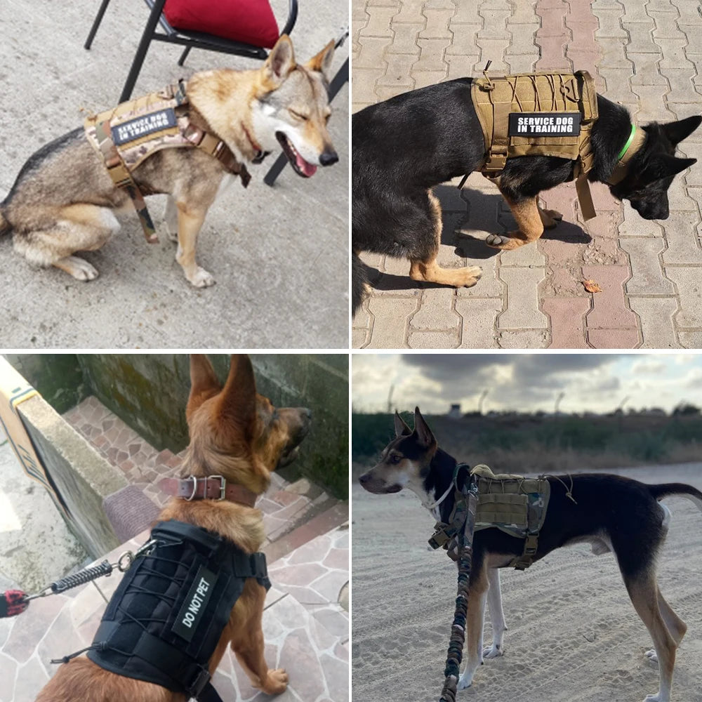 Arnés para perros con sistema MOLLE, ajustable y acolchado