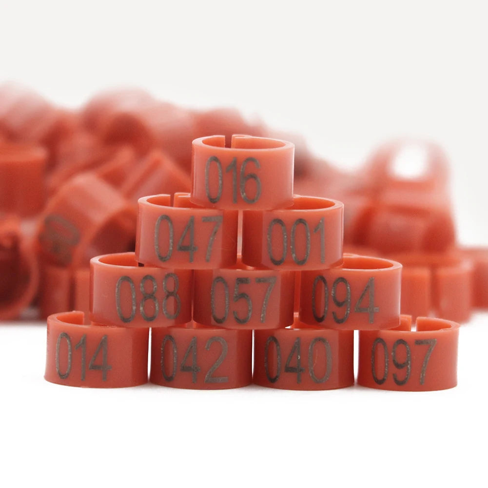 100 Piezas de aros para patas de aves de plástico con palabras para aves y ganado