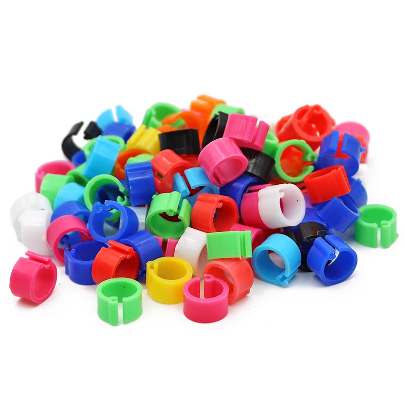 Anillos de pie para aves en diferentes colores, 100 piezas, accesorios de alta calidad para palomas y otras aves de criadero