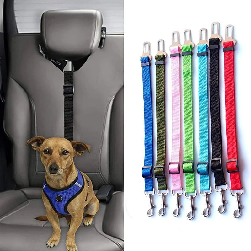 Correa de Seguridad para Perros para Viajes en Coche - Resistente, Confortable y en Variedad de Colores