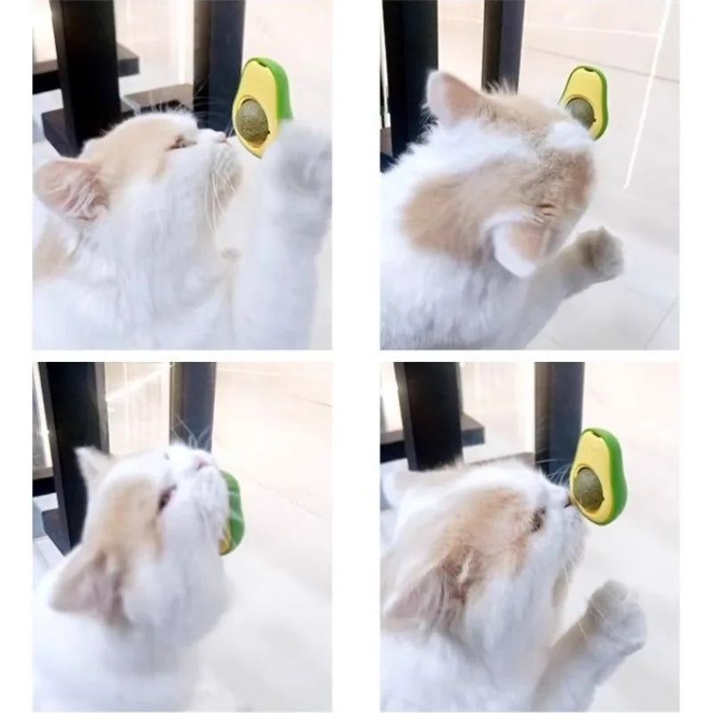 Juguete interactivo para gatos de plástico - Estimula y entretiene