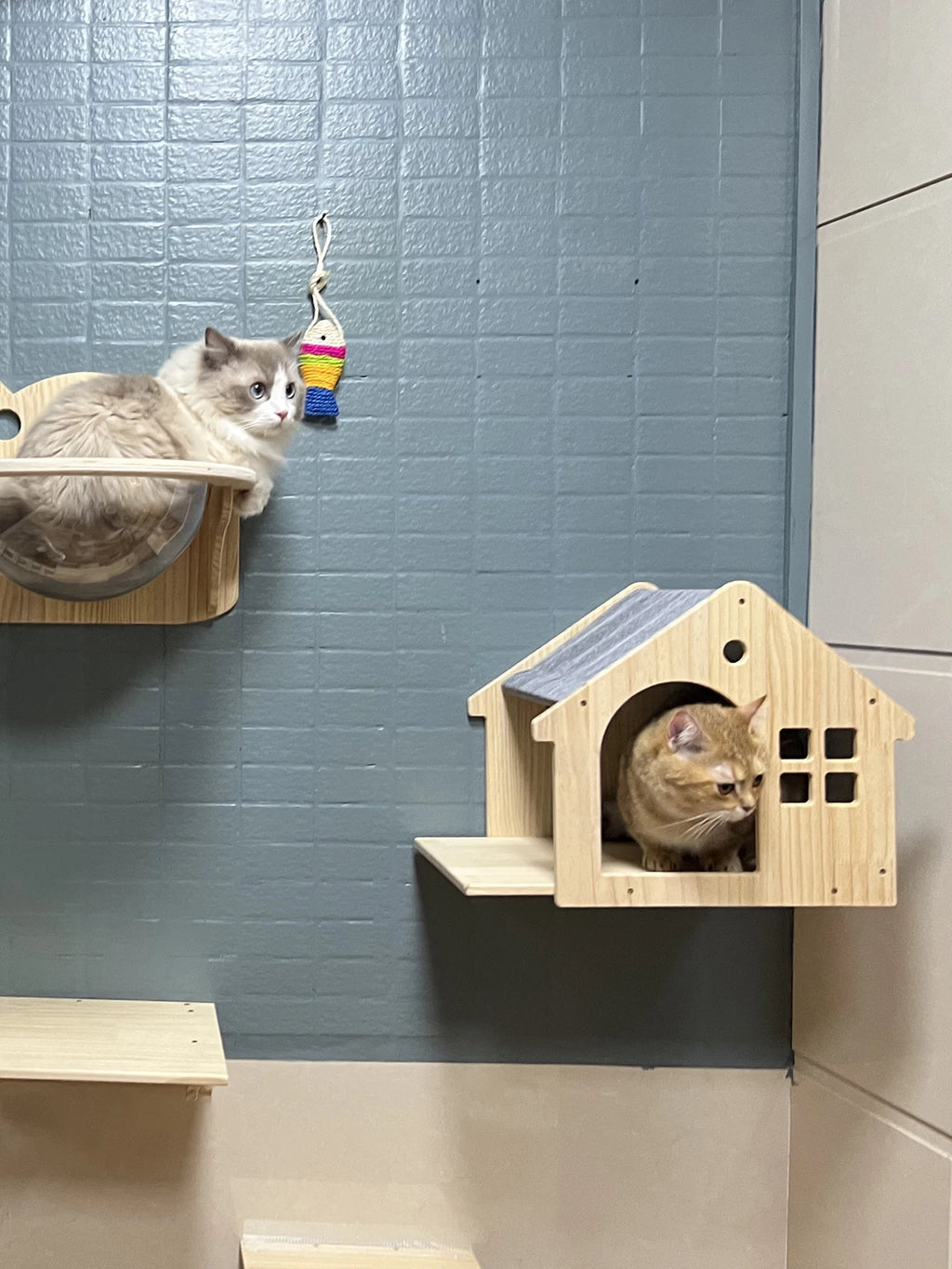 Estantería de pared para gatos de madera con diseño de una sola capa