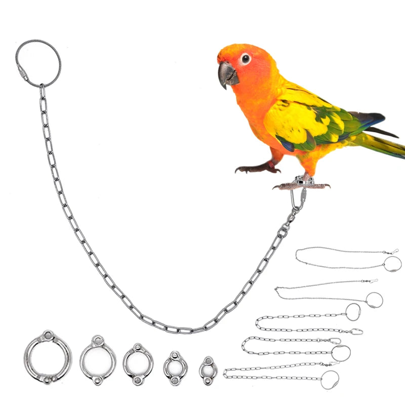 Anillo de pata para aves de acero inoxidable con cadena de seguridad de 50cm