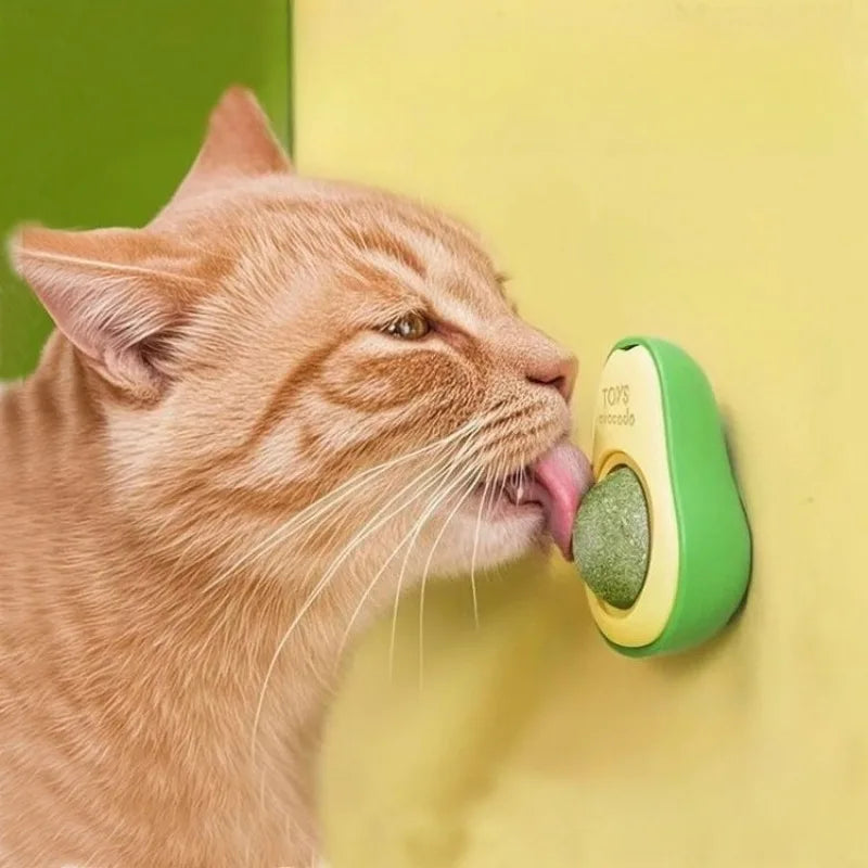 Juguete interactivo para gatos de plástico - Estimula y entretiene