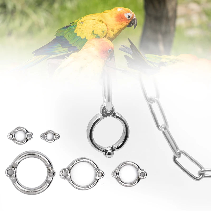 Anillo de pata para aves de acero inoxidable con cadena de seguridad de 50cm