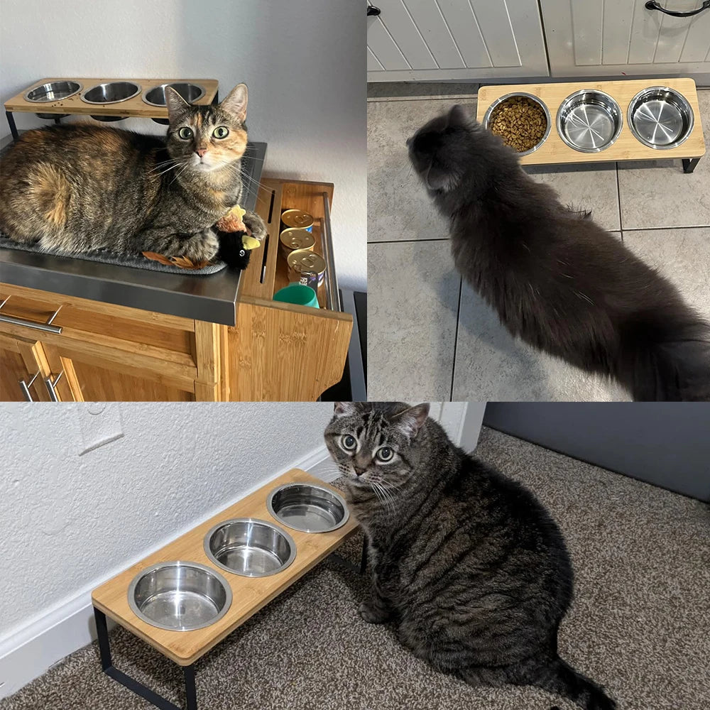 Tazón inclinado para gatos con base de madera y acero inoxidable