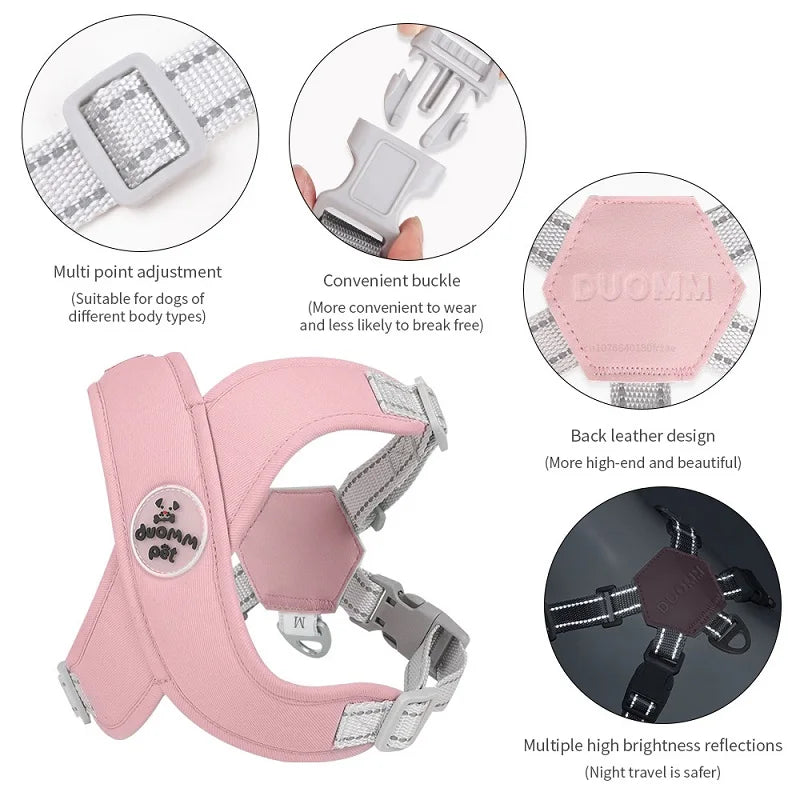 Conjunto de Arnés y Correa para Perros - Duradero, Personalizable y para Todas las Estaciones