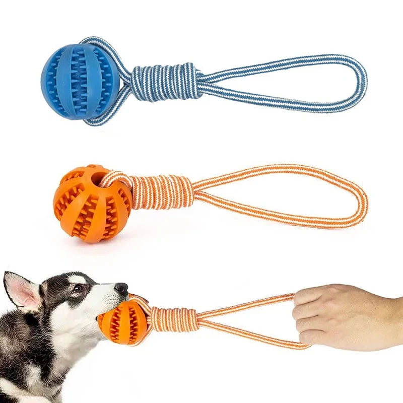 Pelotas de Juego para Perros con Función de Cuidado Dental y Entrenamiento IQ