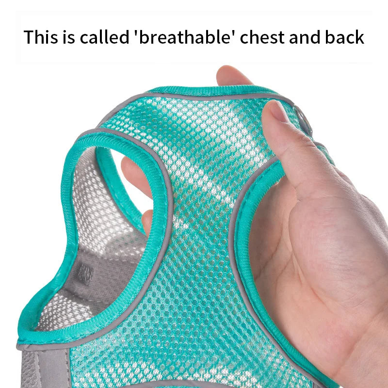 Set de Arnés y Correa para Perros Pequeños - Antideslizante, Reflectante y Confortable