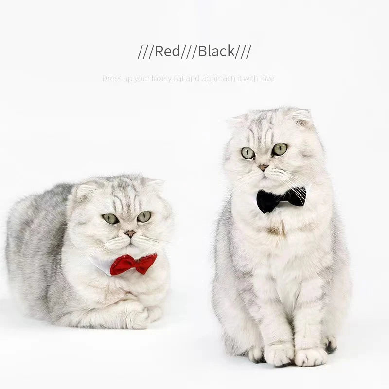 Corbata y Laço para Perros - Elegante, Suave y Perfecta para Ocasiones Especiales