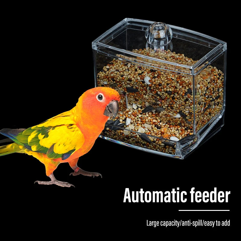 Dispensador de comida automática de acrílico para aves y pequeñas mascotas