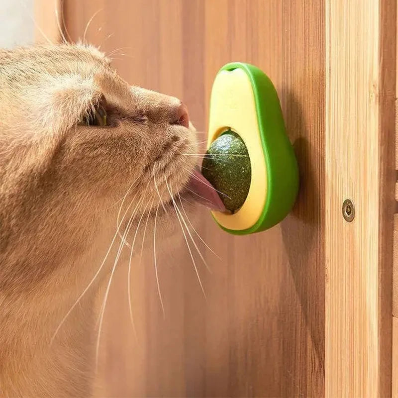 Juguete interactivo para gatos de plástico - Estimula y entretiene