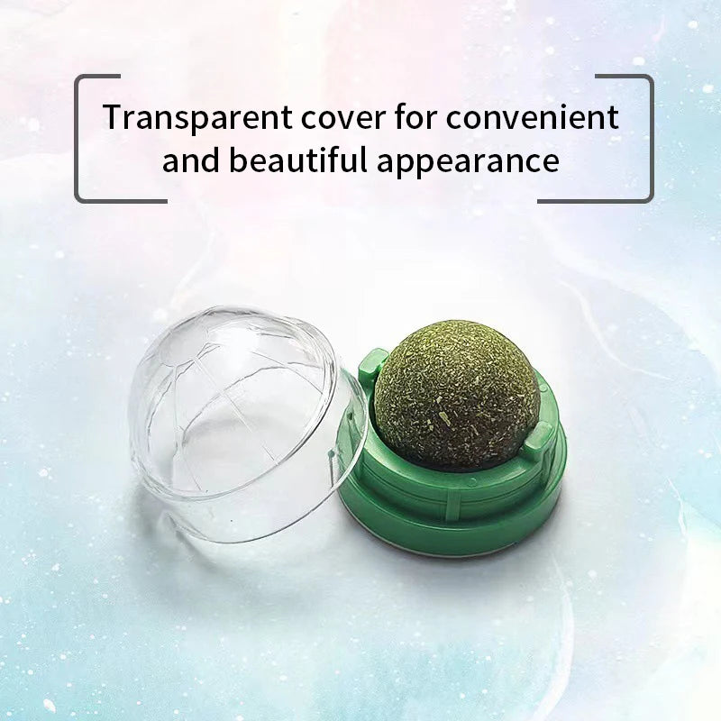 Rascador para Gatos de Una Capa – Accesorio de Calidad en Plástico