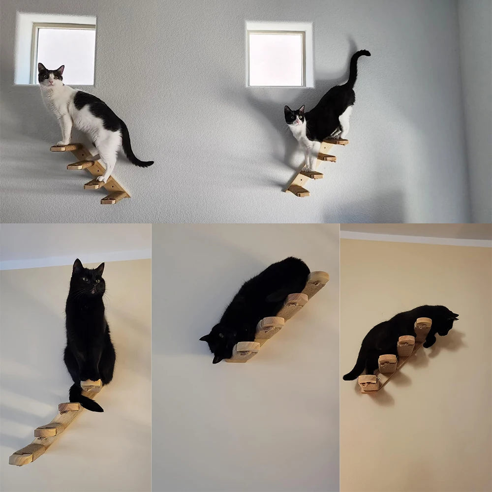Escaleras de pared para gatos y estanterías de escalada en varias alturas