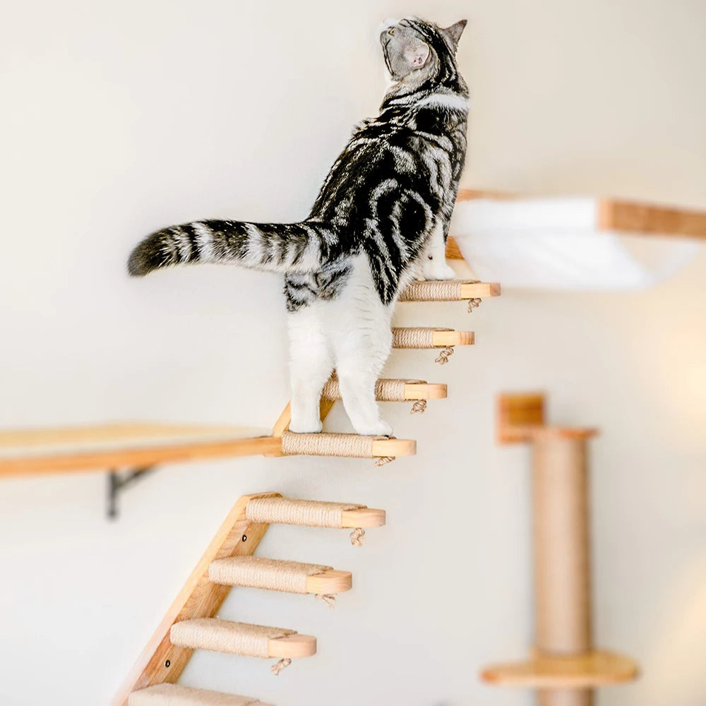 Escaleras de pared para gatos y estanterías de escalada en varias alturas