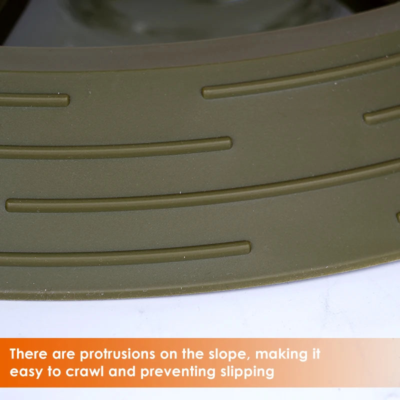 Dispensador automático de comida y agua para reptiles en esquina