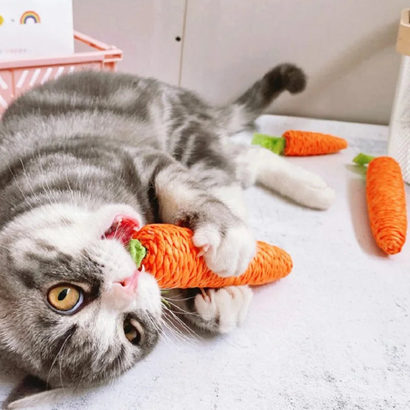 Juguete de peluche para gatos – Suave y seguro