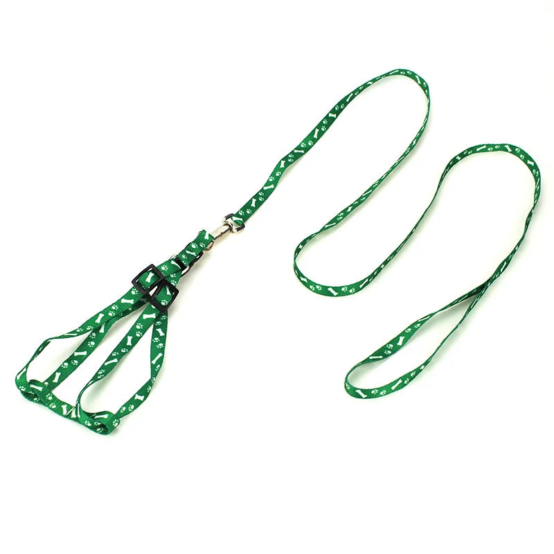 Correa para Perros y Gatos Personalizada en Nylon con Diseño Impreso – Ajustable y Ligera