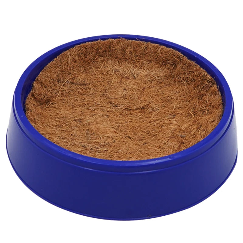 Nido para aves y huevos de paloma con base de césped y material duradero