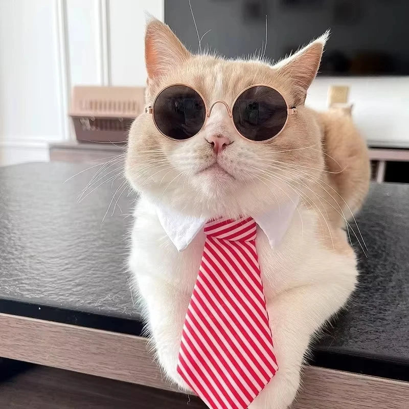 Corbata con Faja Personalizada para Gatos – Diseño a Cuadros y Ajustable