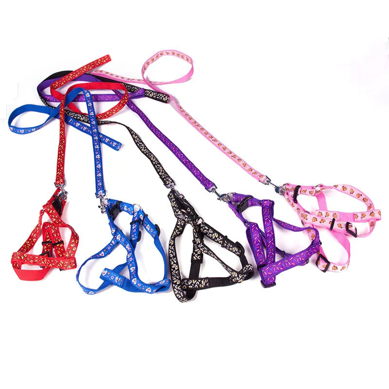 Correa para Perros y Gatos Personalizada en Nylon con Diseño Impreso – Ajustable y Ligera