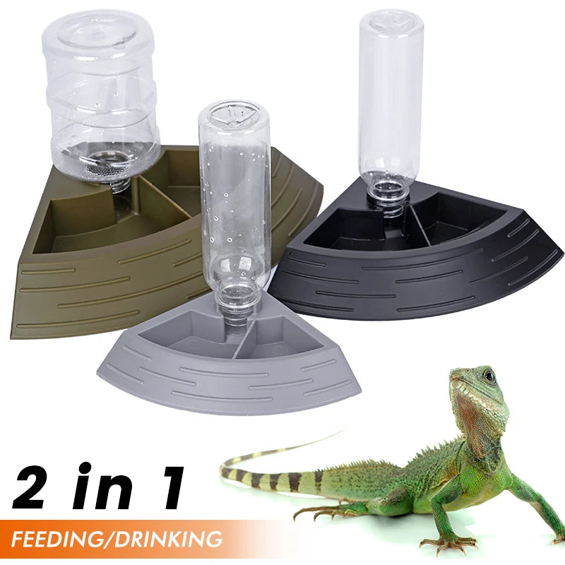 Dispensador automático de comida y agua para reptiles en esquina