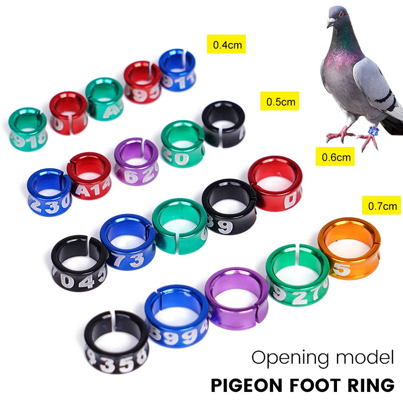 10Pcs Anillos para patas de aves en aluminio, identificación y entrenamiento al aire libre