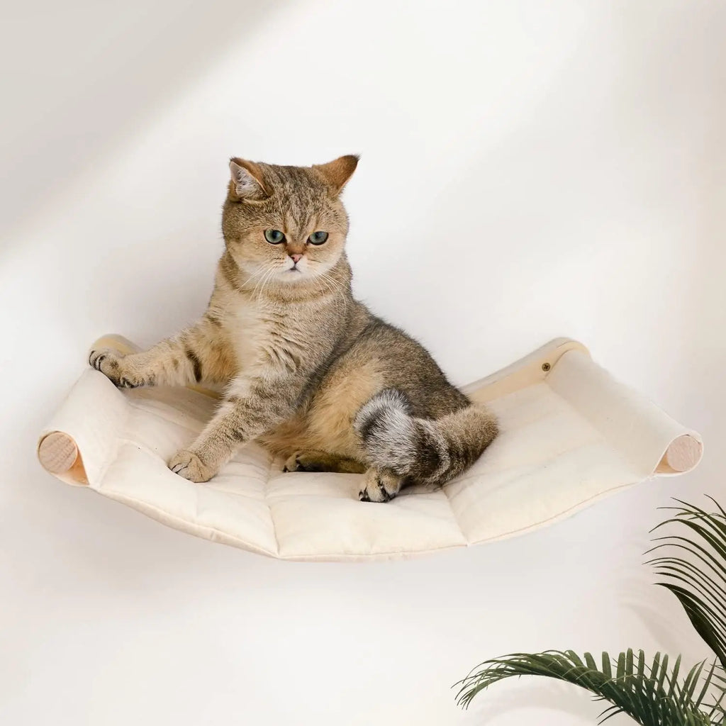 Cama de colgante para gatos con soporte de madera para descansar y observar