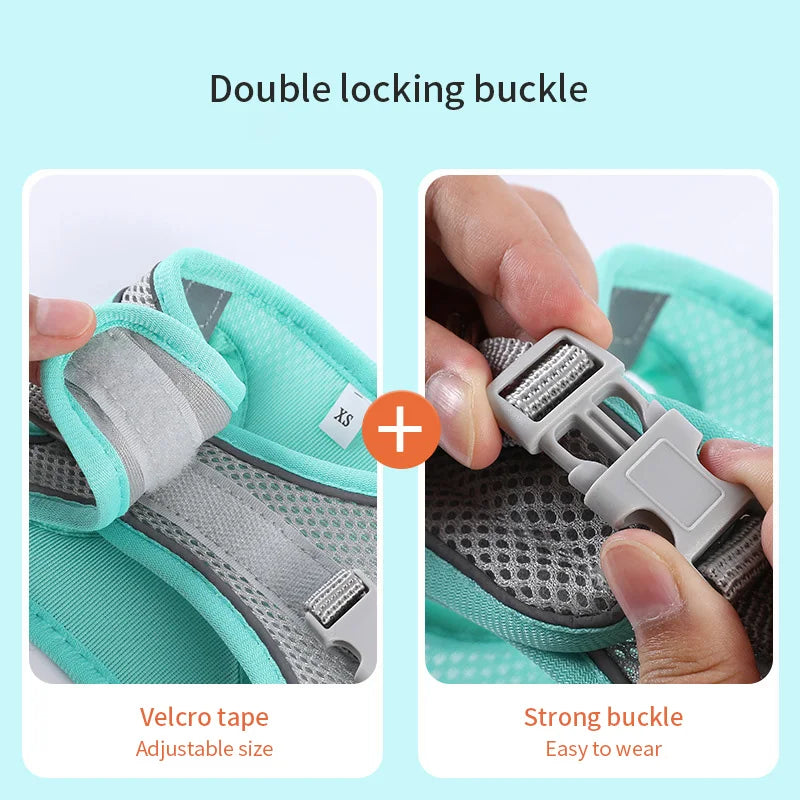 Set de Arnés y Correa para Perros Pequeños - Antideslizante, Reflectante y Confortable