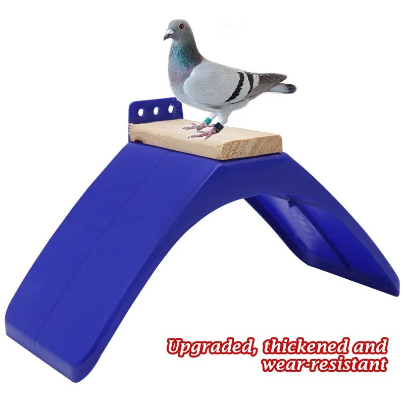 Soporte de descanso para aves en plástico con colores Azul y Verde - Pack de 10/20 unidades