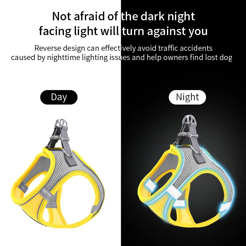 Set de Arnés y Correa para Perros Pequeños - Antideslizante, Reflectante y Confortable
