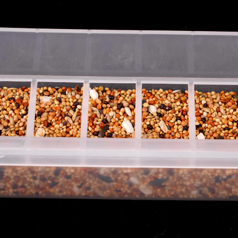 Comedero colgante para aves en plástico resistente y transparente