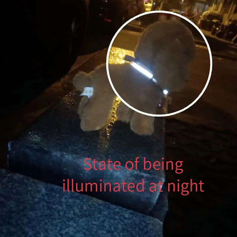 Collar Reflectante con Cascabel para Gatos – Ajustable, Seguro y Visibilidad Nocturna