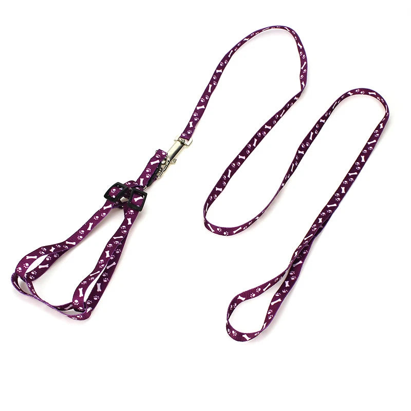 Correa para Perros y Gatos Personalizada en Nylon con Diseño Impreso – Ajustable y Ligera